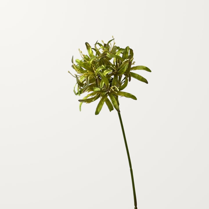 Starburst Agapanthus – Sage Green - view 3