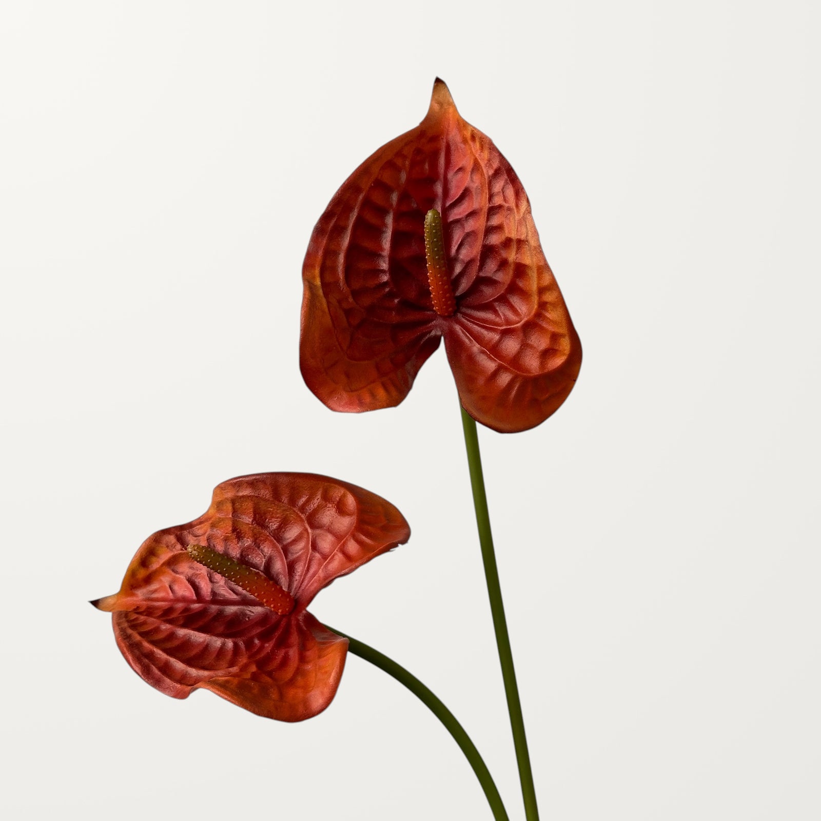 Wave Anthurium – Burnt Orange (Real Touch) - view 2