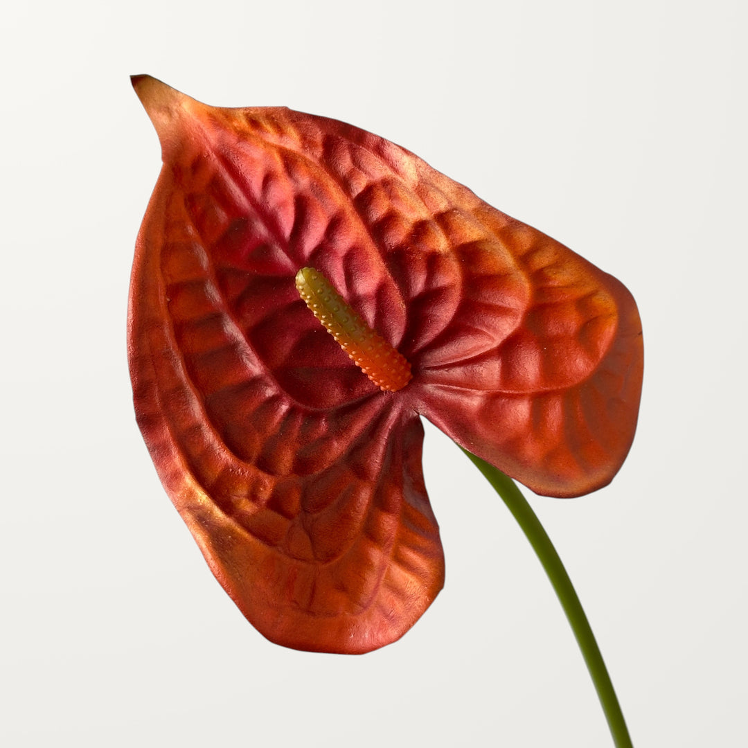 Wave Anthurium – Burnt Orange (Real Touch)