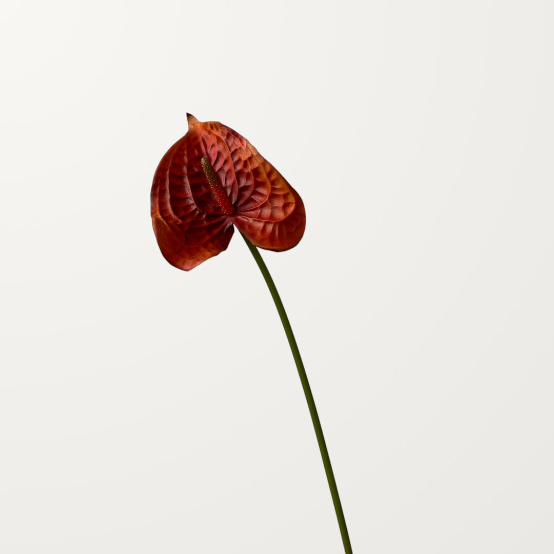 Wave Anthurium – Burnt Orange (Real Touch) - view 3