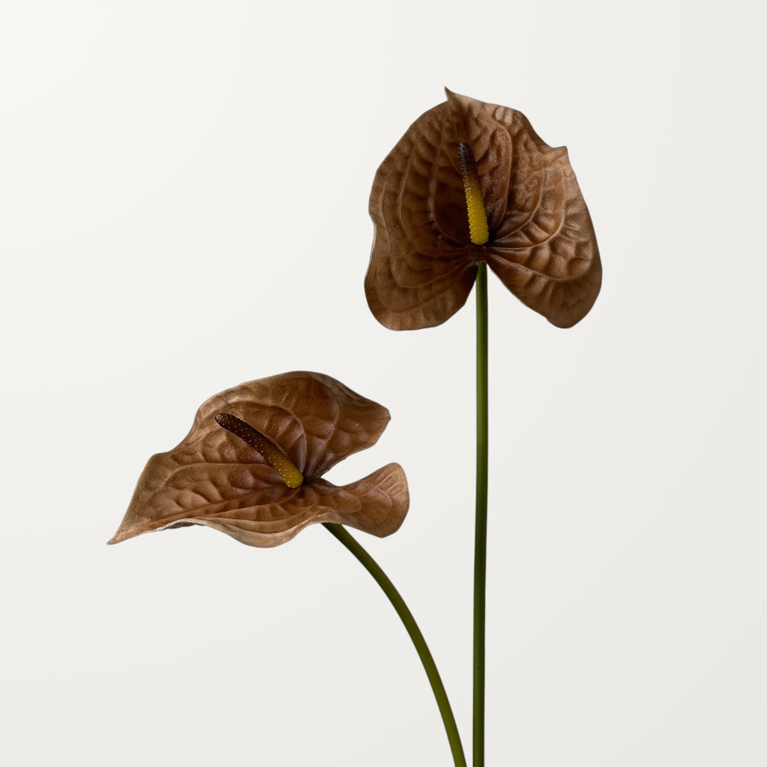 Wave Anthurium – Chestnut (Real Touch) - view 2