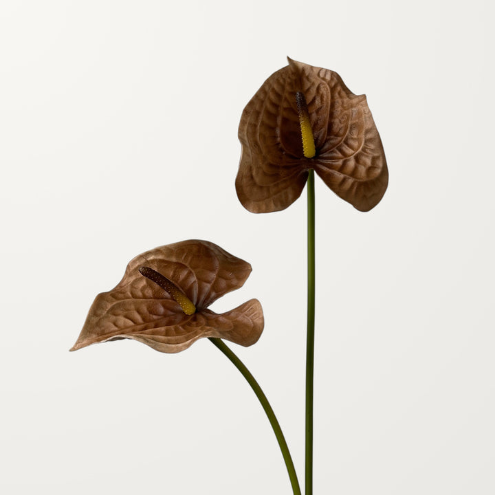 Wave Anthurium – Chestnut (Real Touch) - view 2