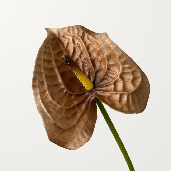 Wave Anthurium – Chestnut (Real Touch)