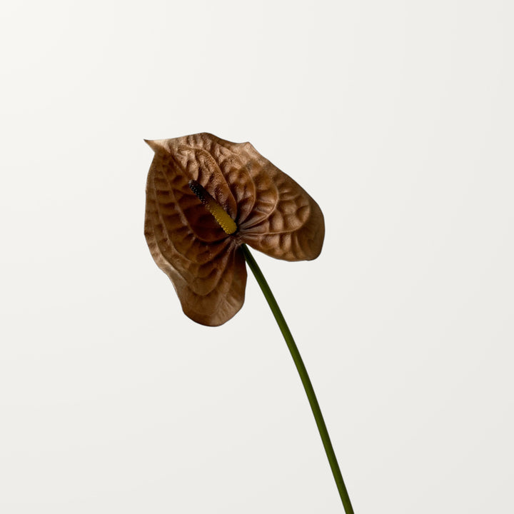 Wave Anthurium – Chestnut (Real Touch) - view 3