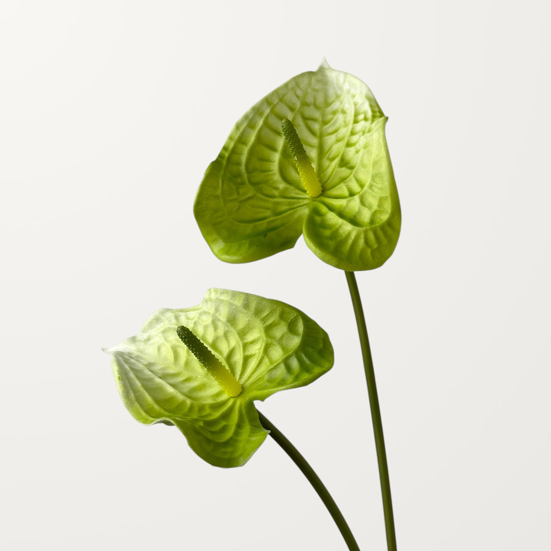 Wave Anthurium – Green (Real Touch) - view 2
