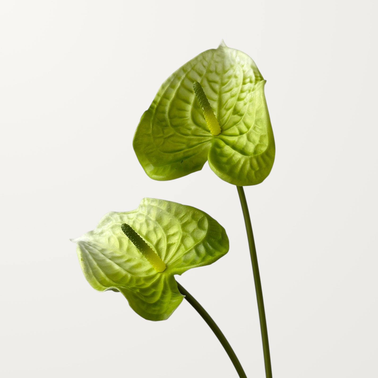 Wave Anthurium – Green (Real Touch) - view 2