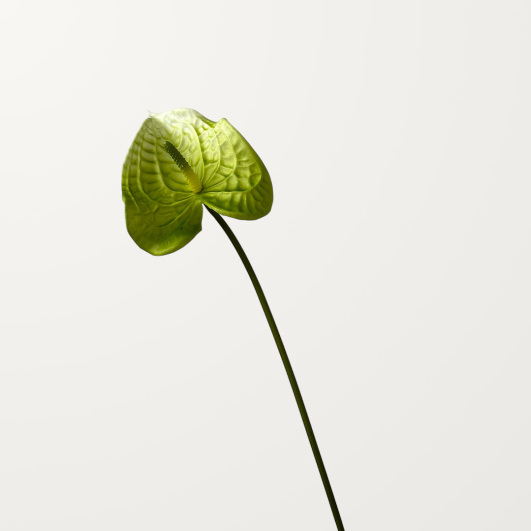 Wave Anthurium – Green (Real Touch) - view 3