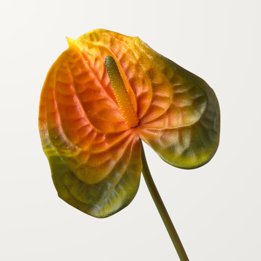 Wave Anthurium – Orange Green (Real Touch)