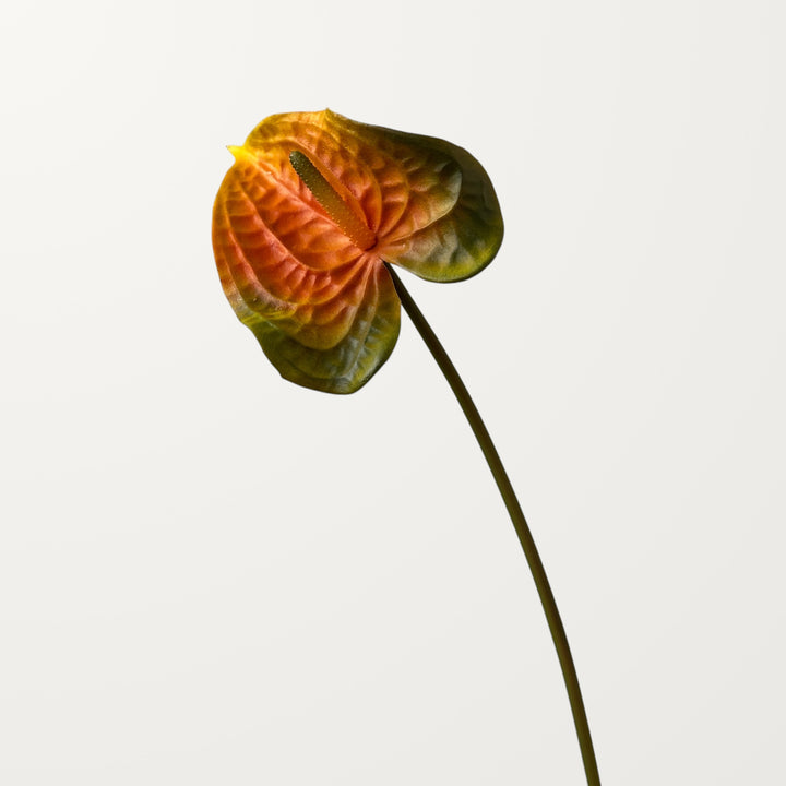 Wave Anthurium – Orange Green (Real Touch) - view 3