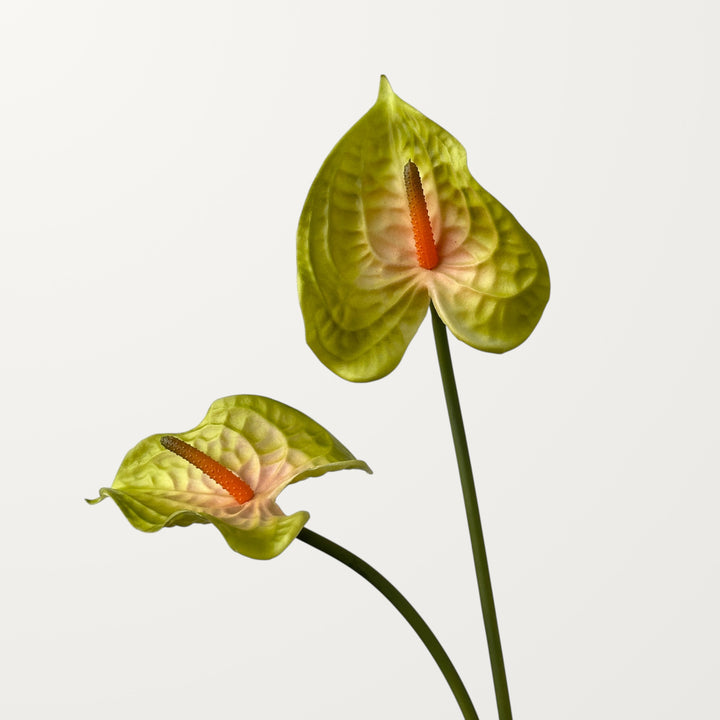 Wave Anthurium – Olive Blush (Real Touch) - view 2