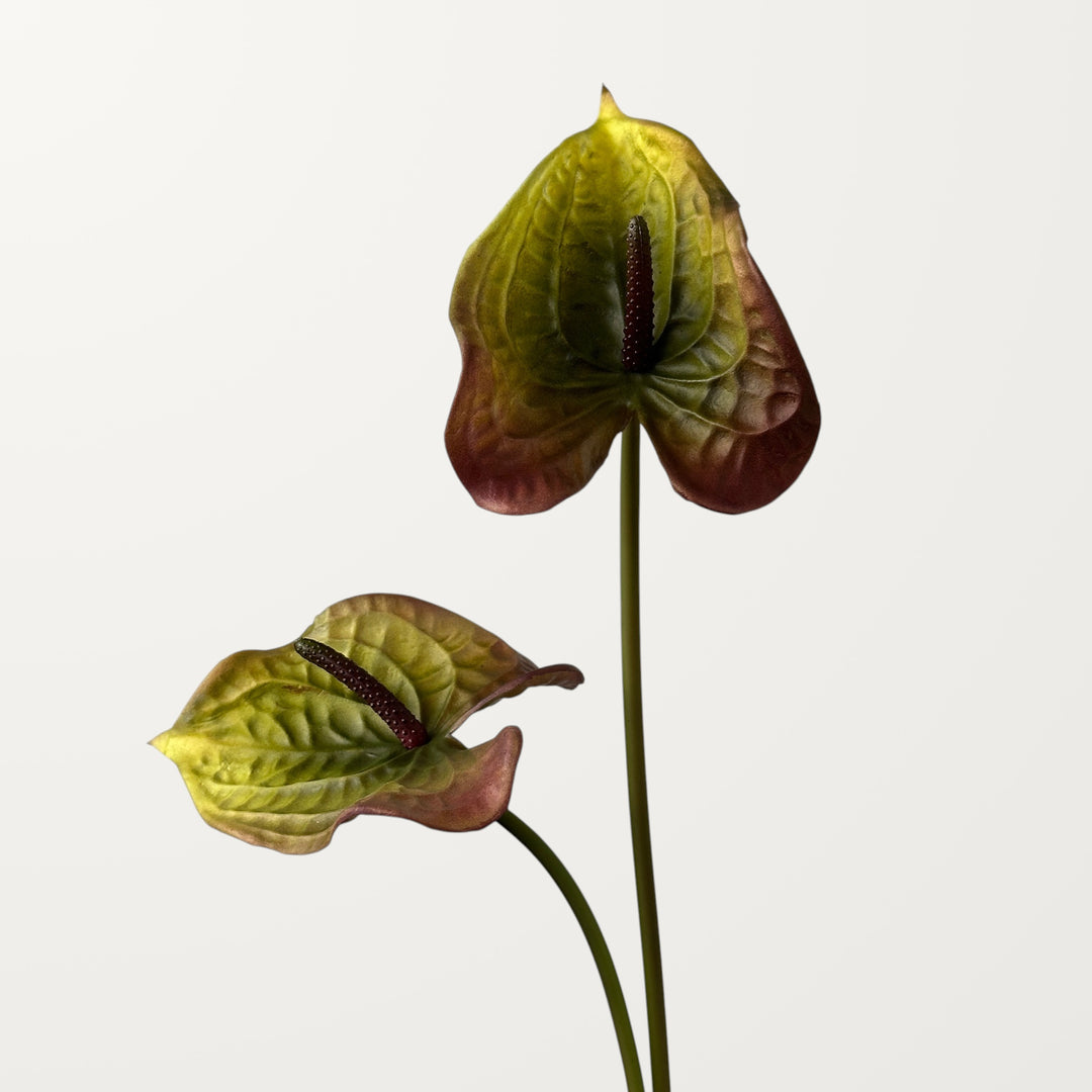 Wave Anthurium – Olive Red (Real Touch) - view 2