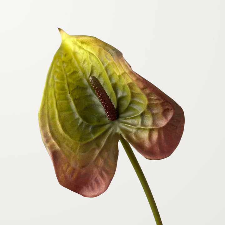 Wave Anthurium – Olive Red (Real Touch)