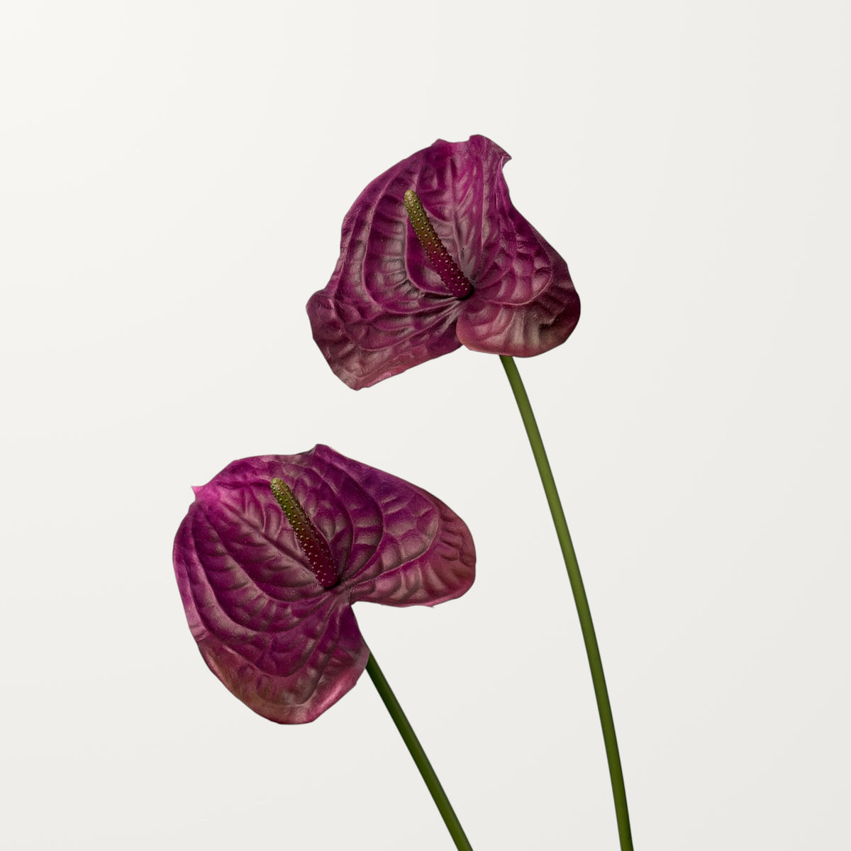 Wave Anthurium – Plum (Real Touch) - view 2