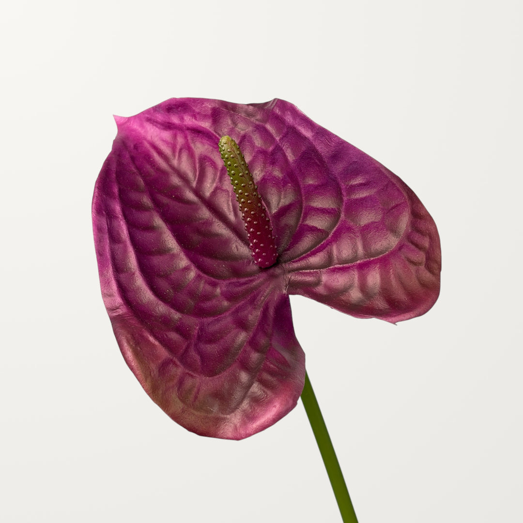 Wave Anthurium – Plum (Real Touch)