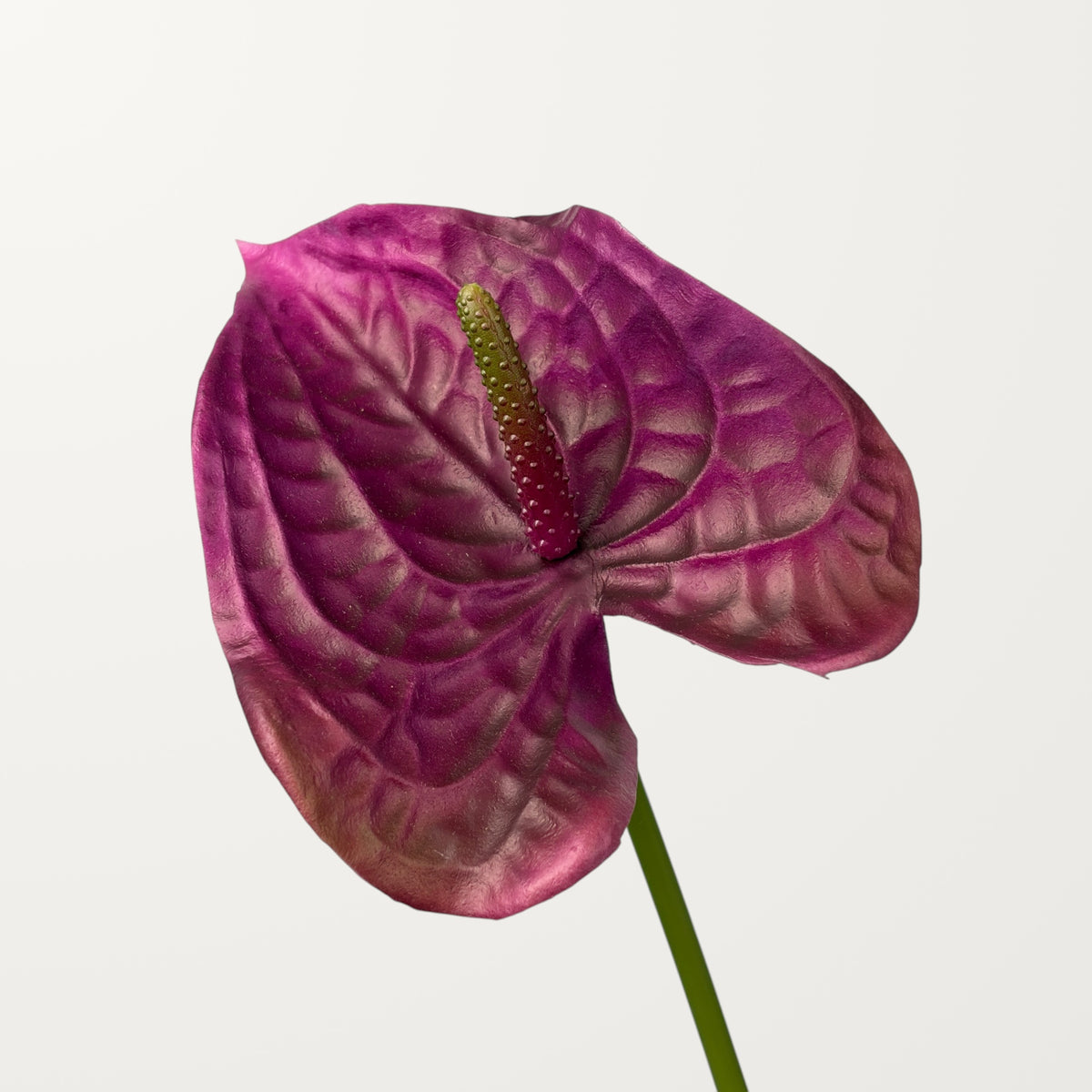 Wave Anthurium – Plum (Real Touch)