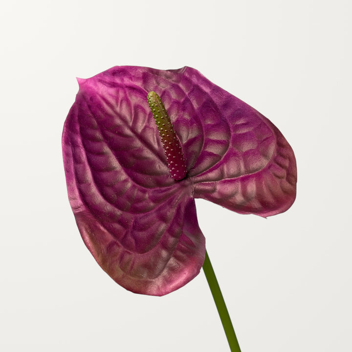 Wave Anthurium – Plum (Real Touch)