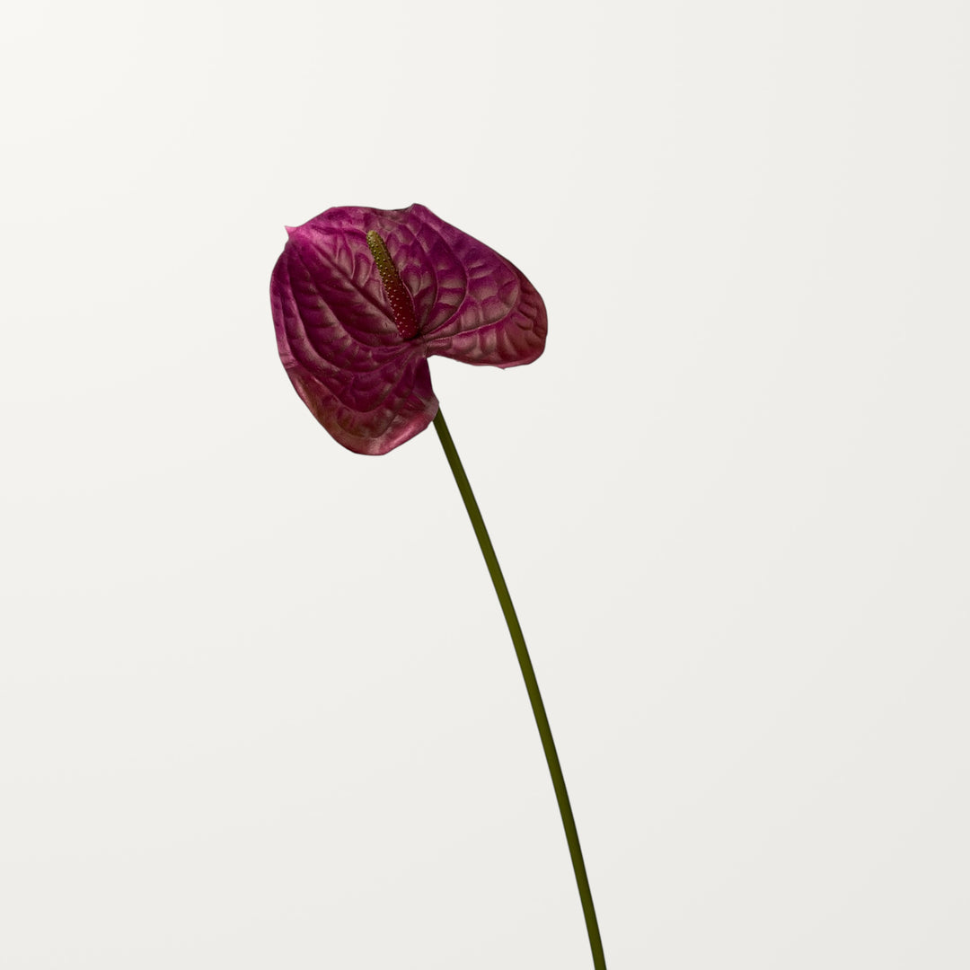 Wave Anthurium – Plum (Real Touch) - view 3