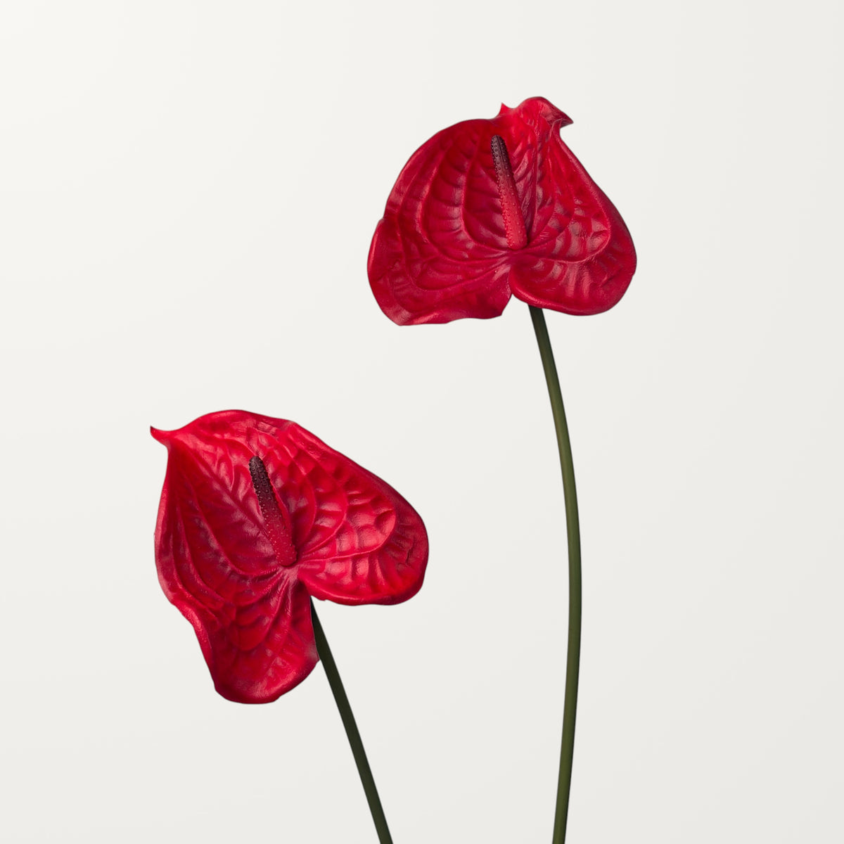 Wave Anthurium – Red (Real Touch) - view 2
