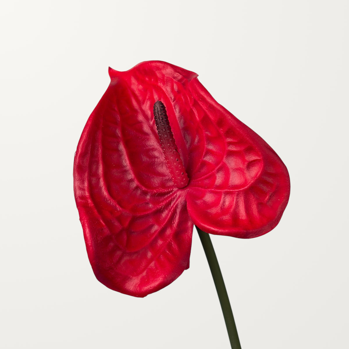 Wave Anthurium – Red (Real Touch)