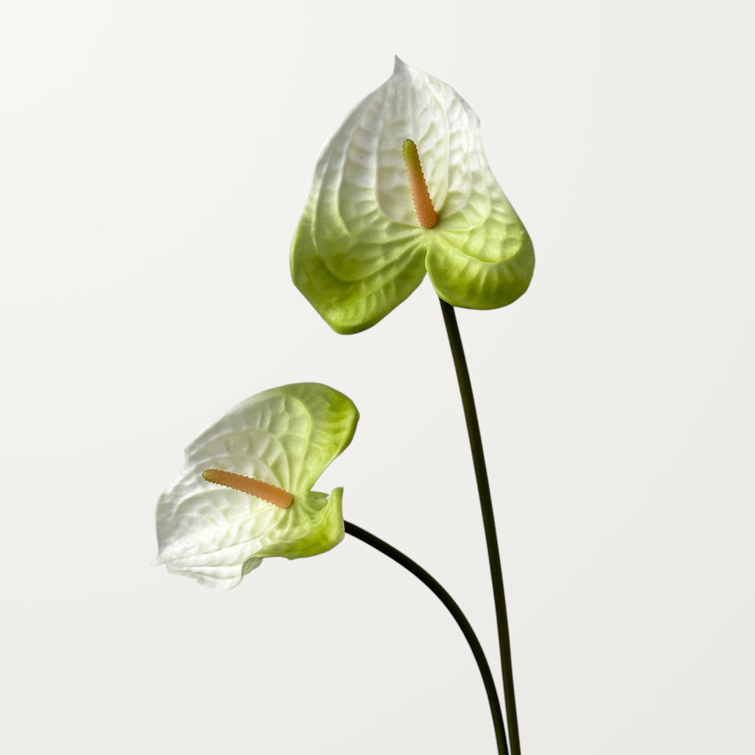 Wave Anthurium – White (Real Touch) - view 2
