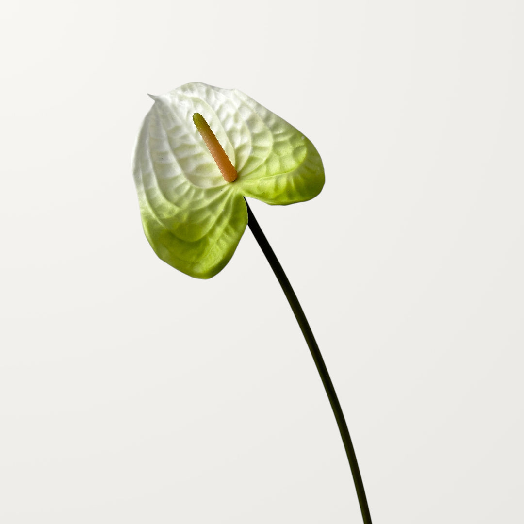 Wave Anthurium – White (Real Touch) - view 3