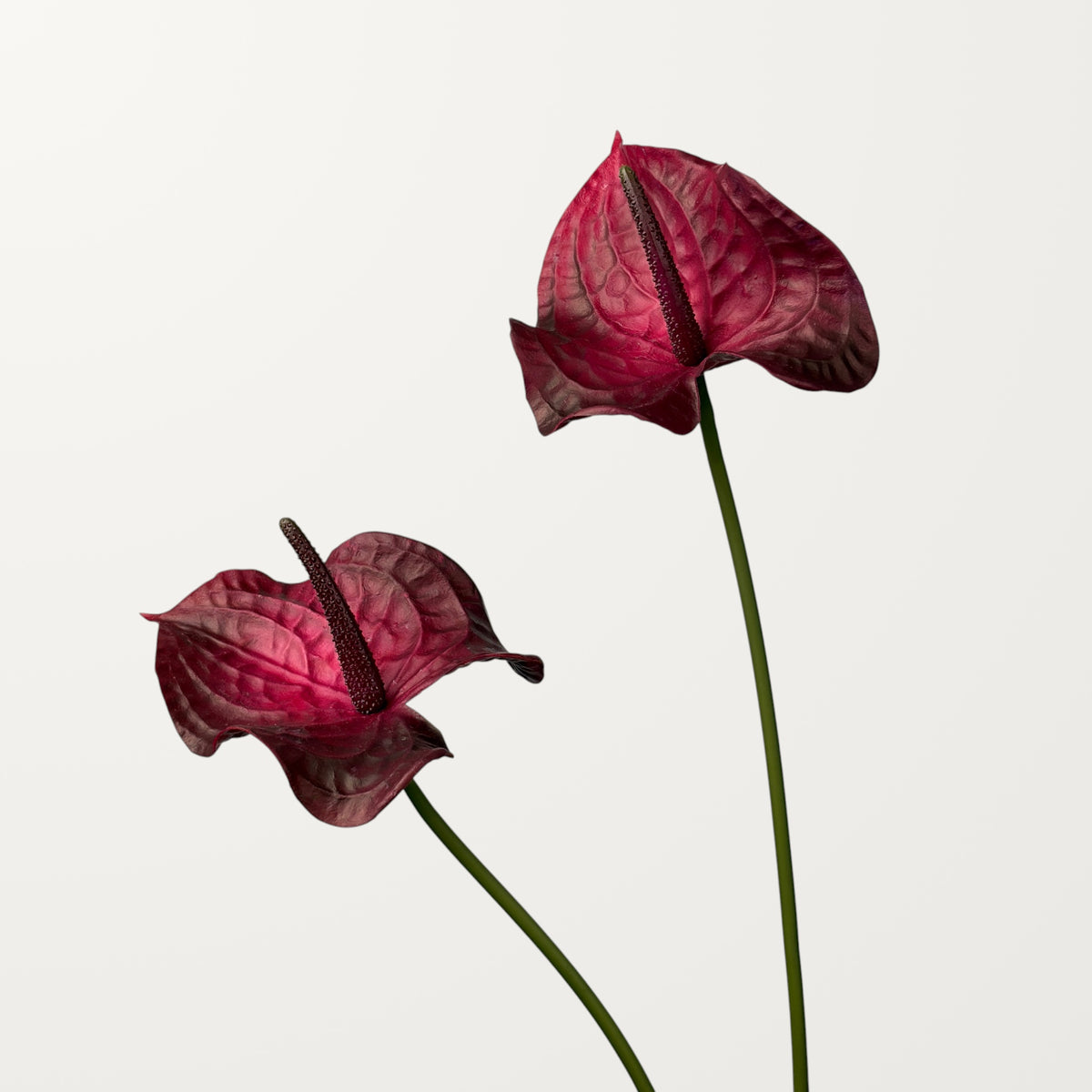 Wave Anthurium Large – Dusty Red (Real Touch) - view 2