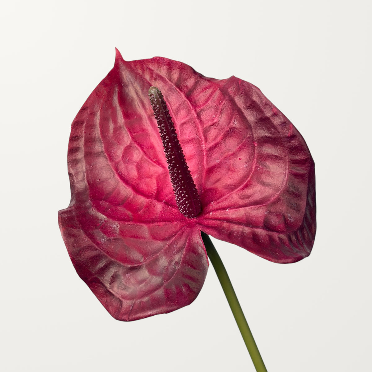 Wave Anthurium Large – Dusty Red (Real Touch)