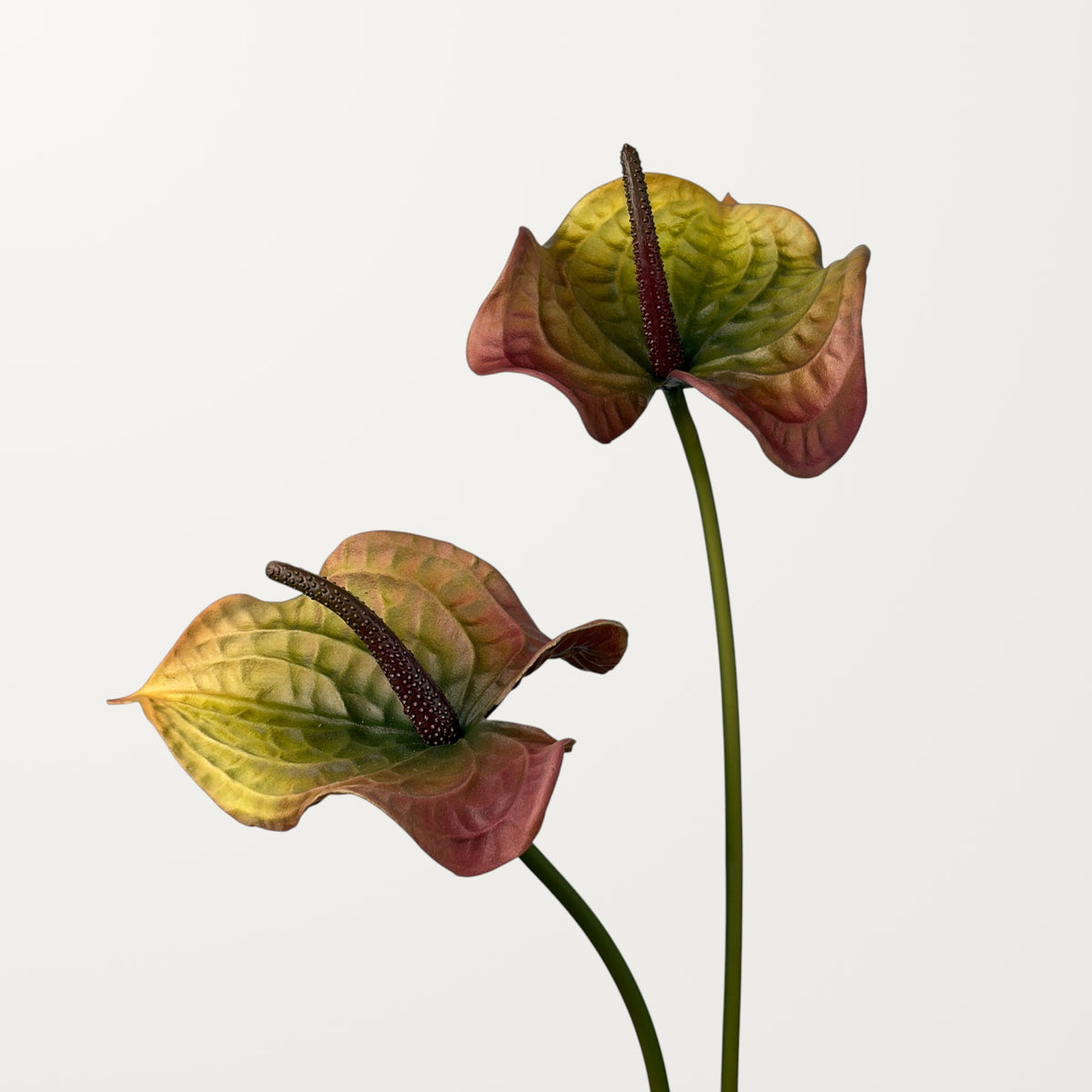 Wave Anthurium Large – Olive Red (Real Touch) - view 2
