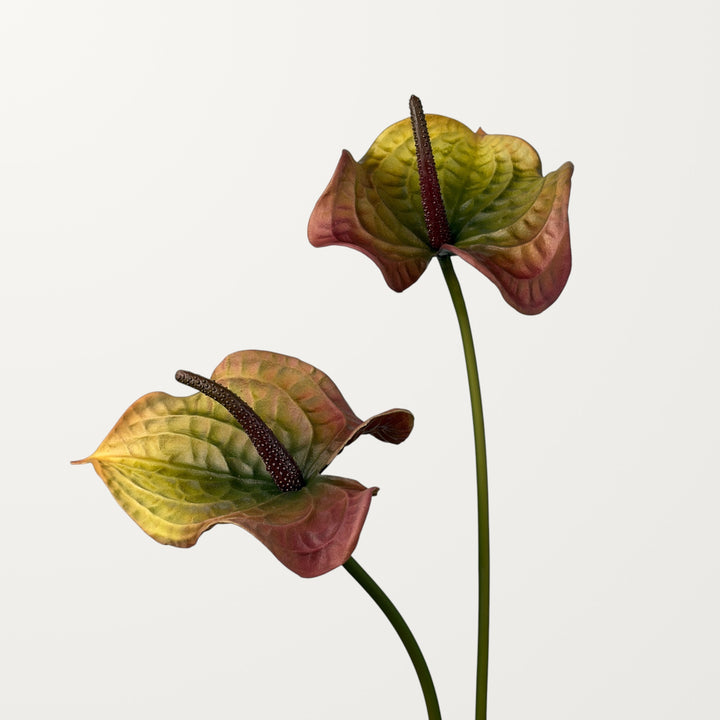 Wave Anthurium Large – Olive Red (Real Touch) - view 2