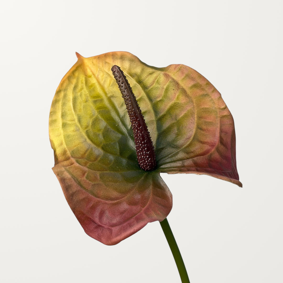 Wave Anthurium Large – Olive Red (Real Touch)