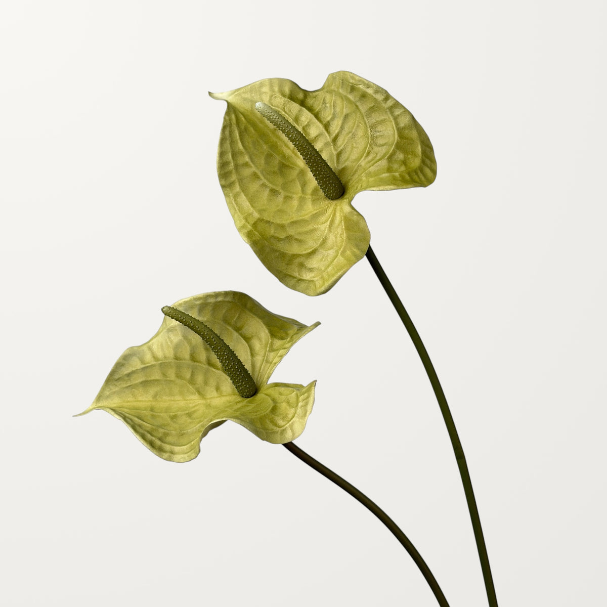 Wave Anthurium Large – Sage Green (Real Touch) - view 2