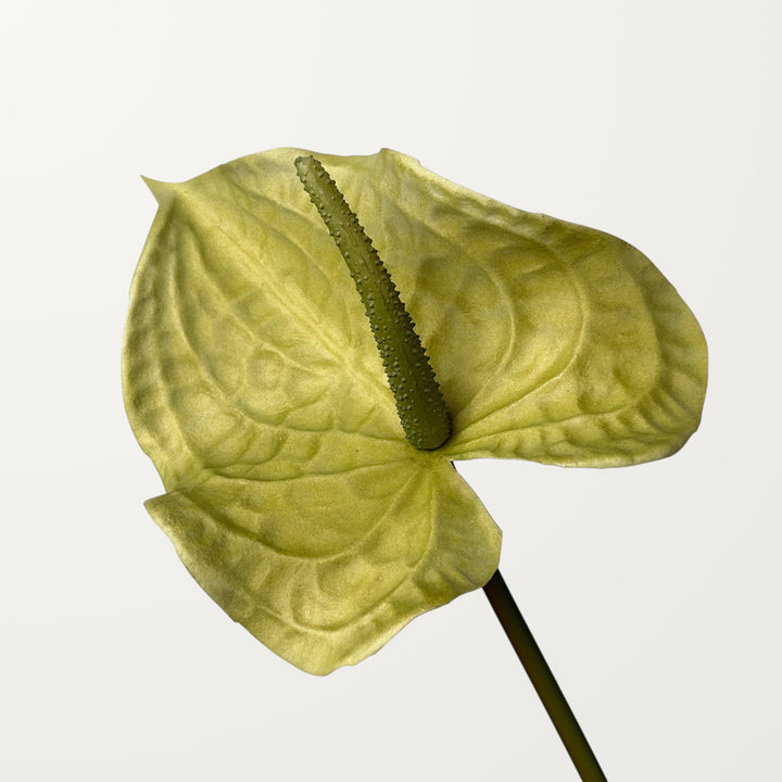Wave Anthurium Large – Sage Green (Real Touch)