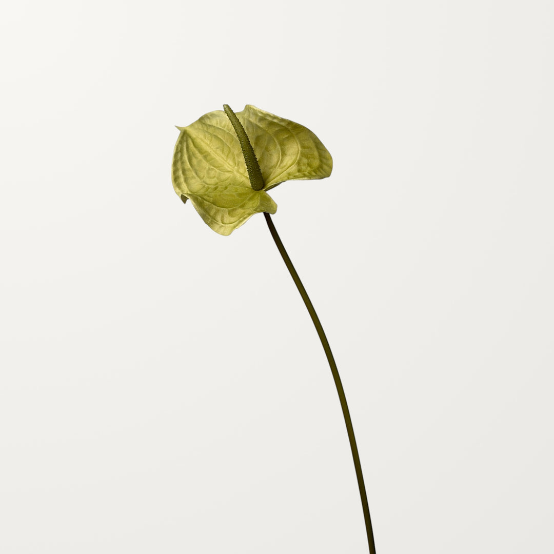 Wave Anthurium Large – Sage Green (Real Touch) - view 3