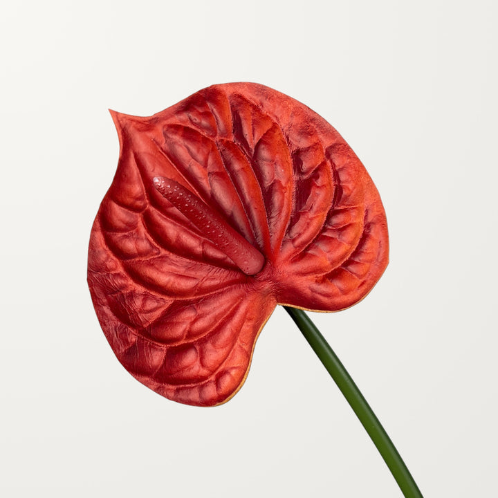 Bloom Anthurium – Burnt Orange (Real Touch)