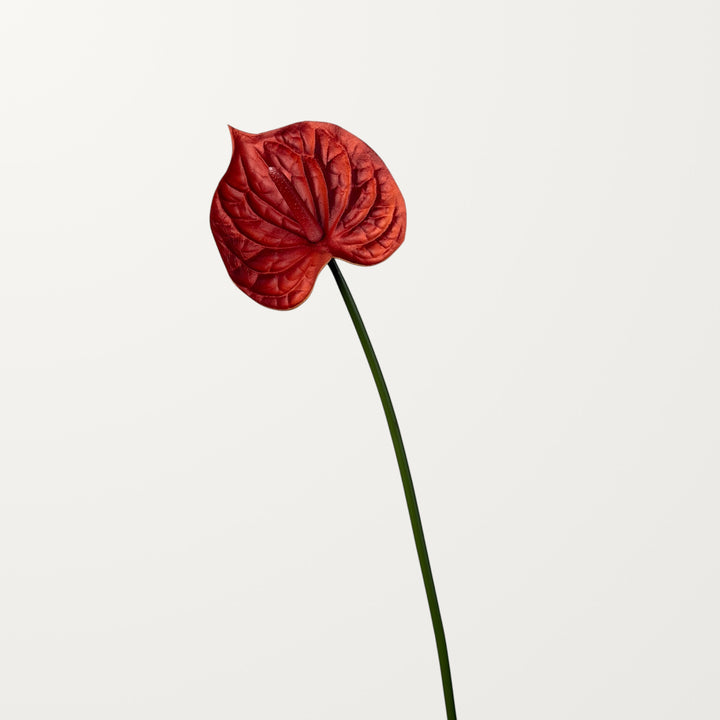 Bloom Anthurium – Burnt Orange (Real Touch) - view 3