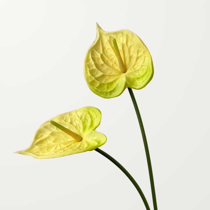 Bloom Anthurium – Butter Yellow (Real Touch) - view 2