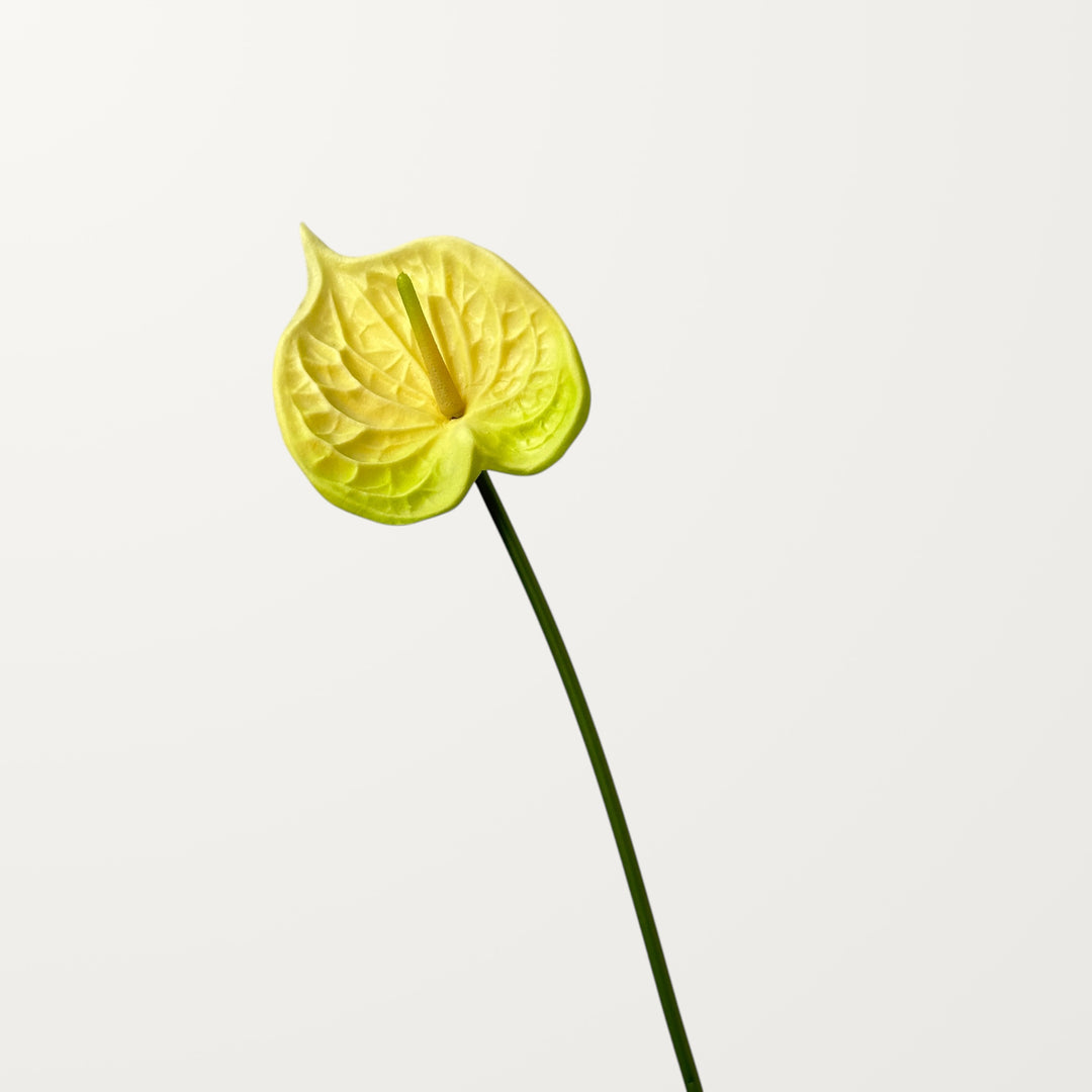 Bloom Anthurium – Butter Yellow (Real Touch) - view 3