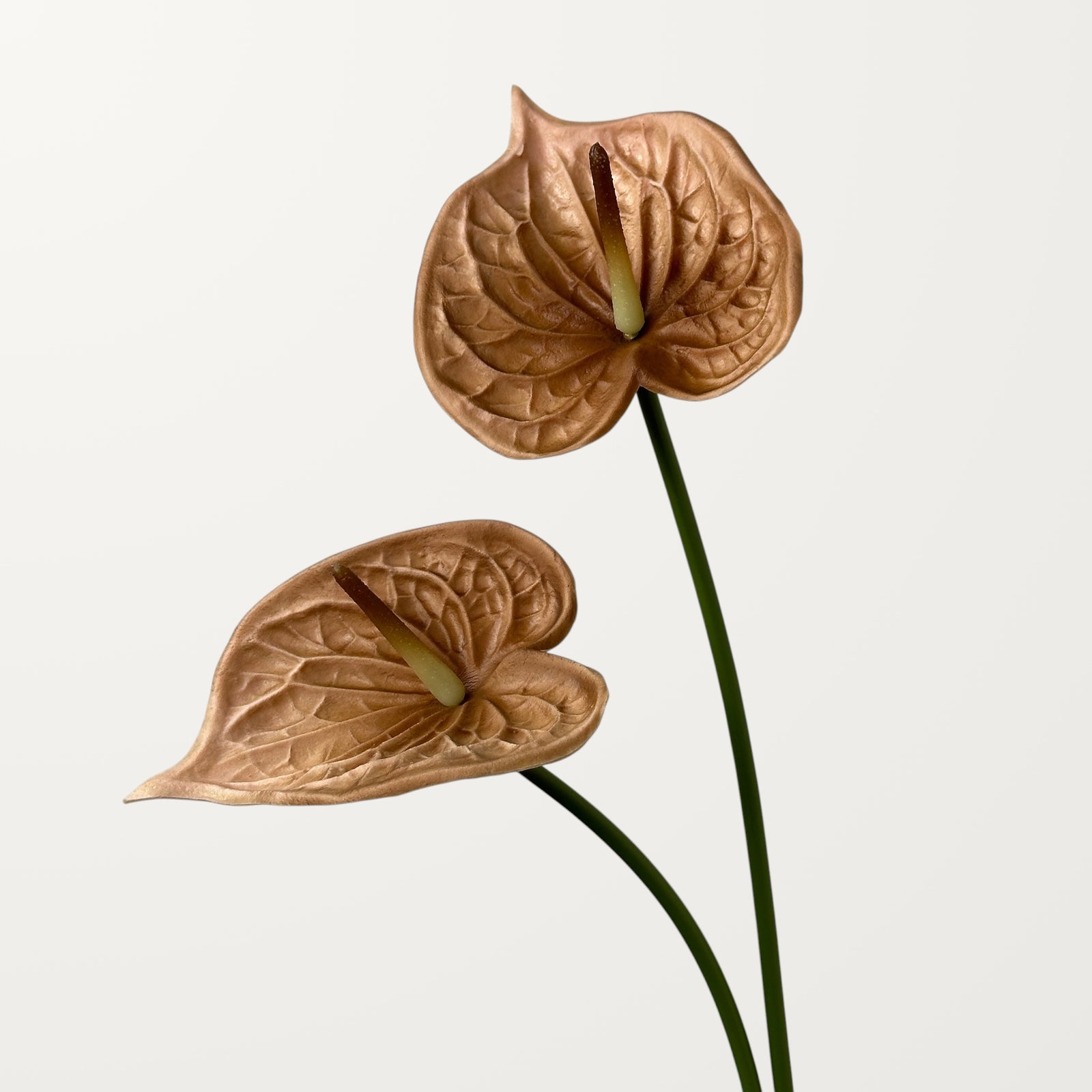 Bloom Anthurium – Chestnut (Real Touch) - view 2