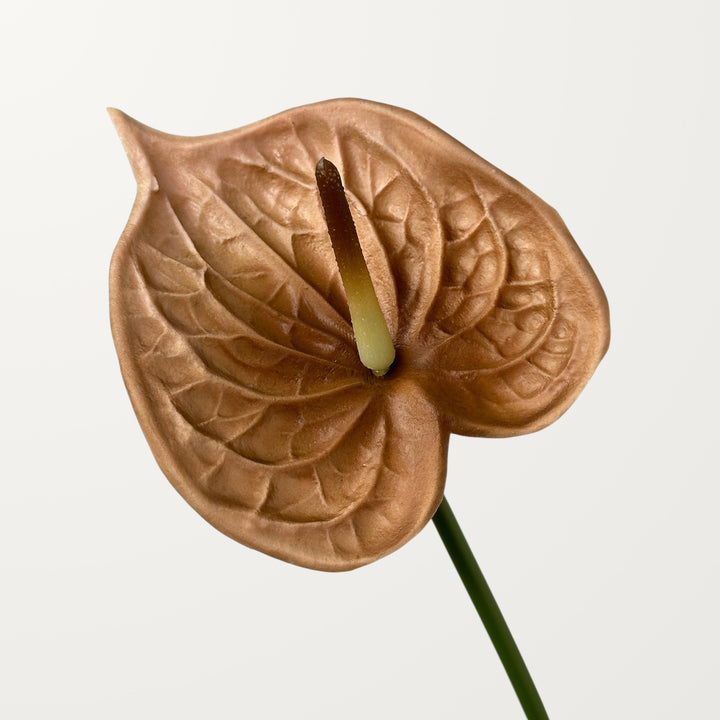 Bloom Anthurium – Chestnut (Real Touch)