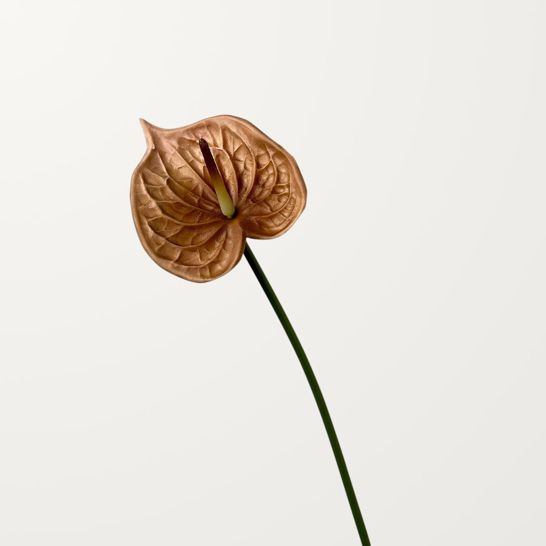 Bloom Anthurium – Chestnut (Real Touch) - view 3