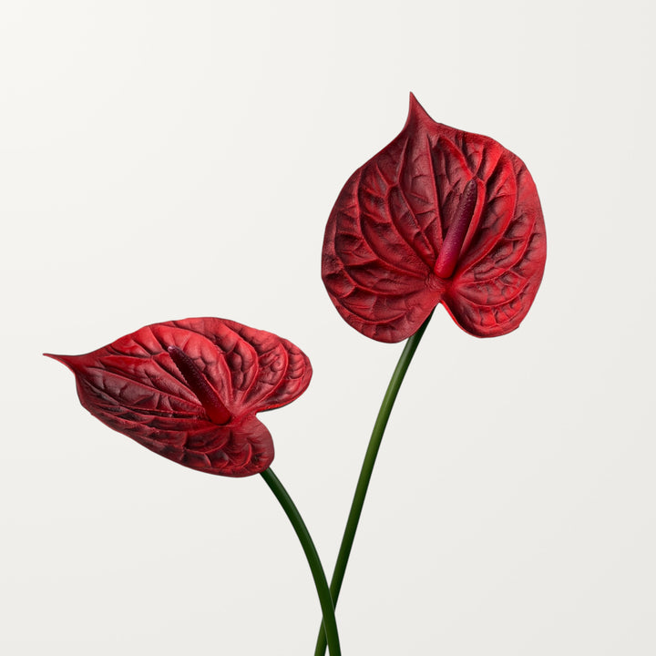 Bloom Anthurium – Dark Burgundy (Real Touch) - view 2
