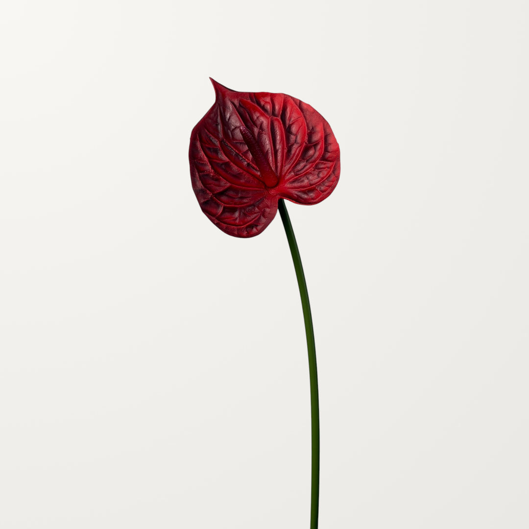 Bloom Anthurium – Dark Burgundy (Real Touch) - view 3