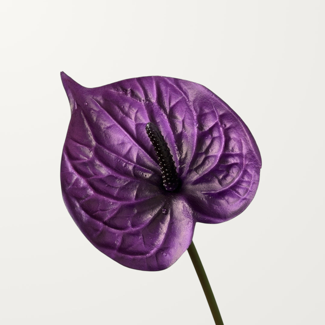 Bloom Anthurium – Deep Purple (Real Touch)