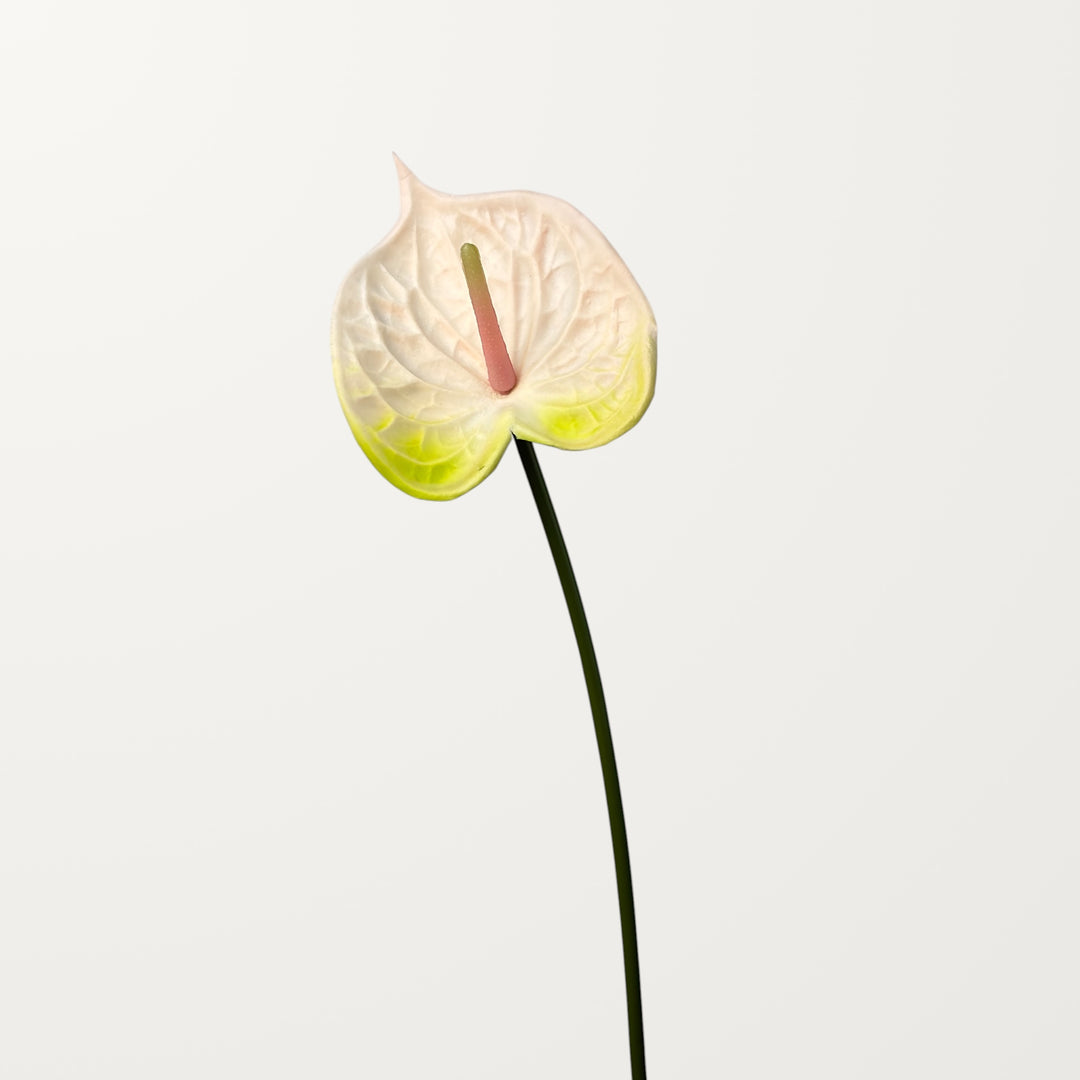 Bloom Anthurium – Ivory White (Real Touch) - view 3