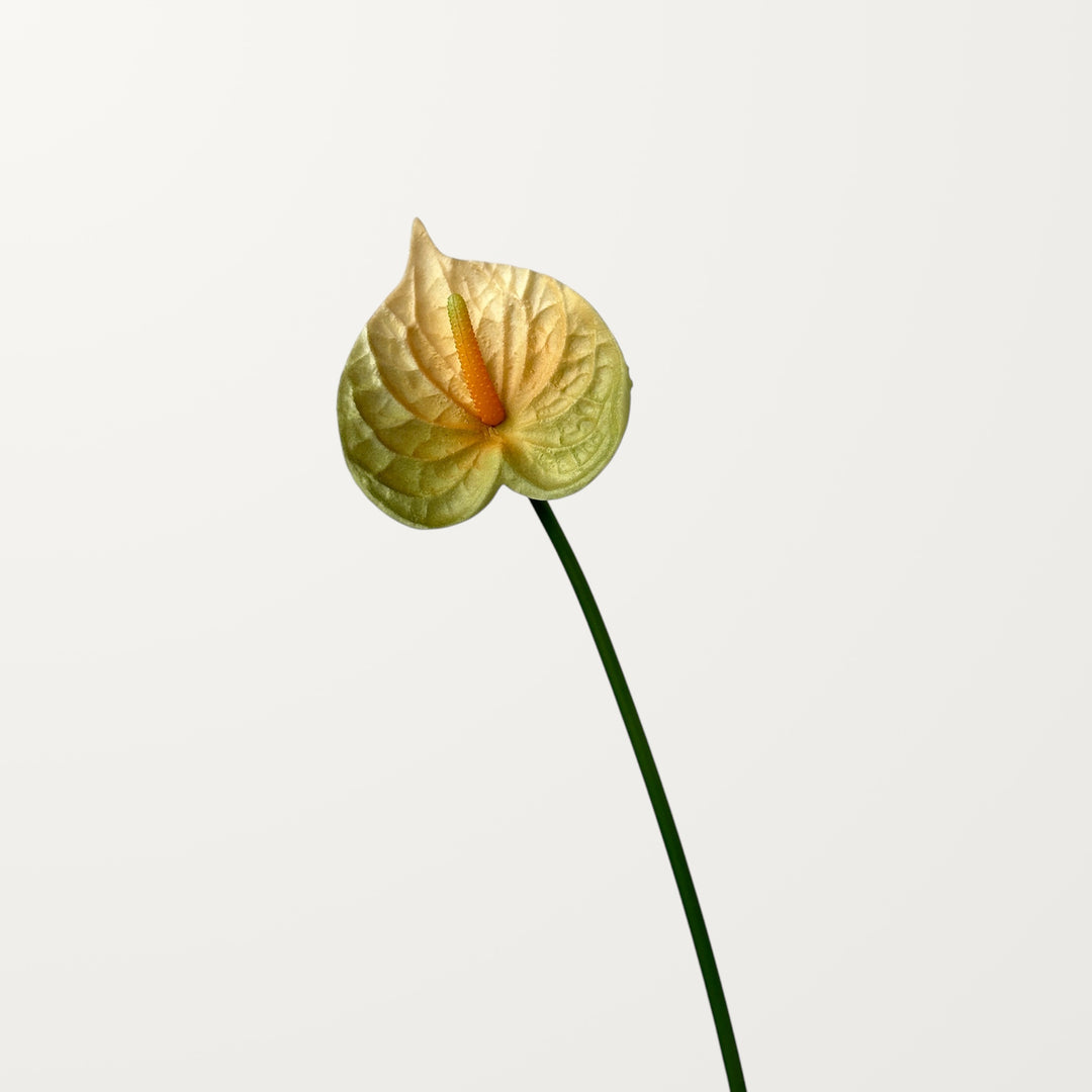 Bloom Anthurium – Olive Yellow (Real Touch) - view 3
