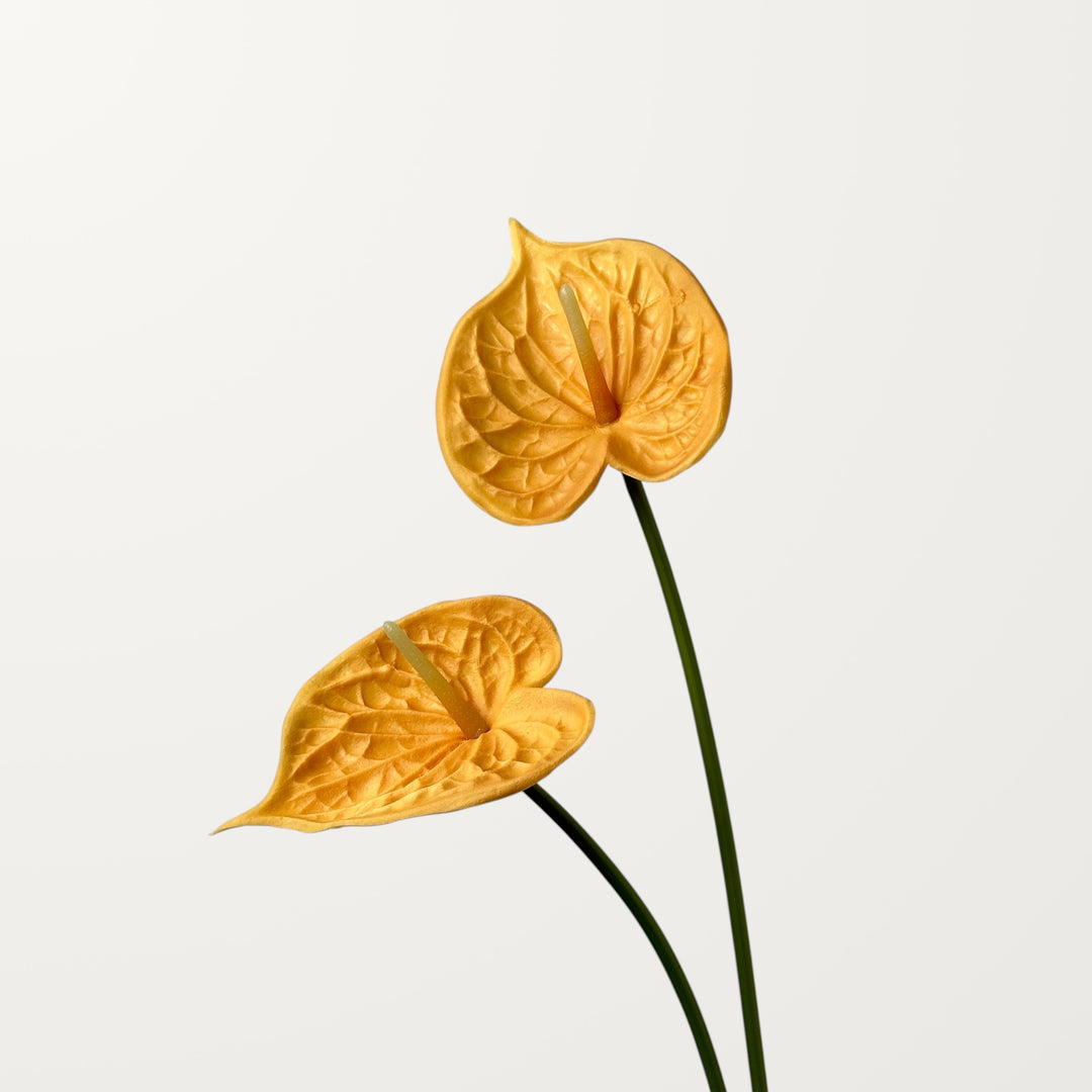Bloom Anthurium – Peach Orange (Real Touch) - view 2