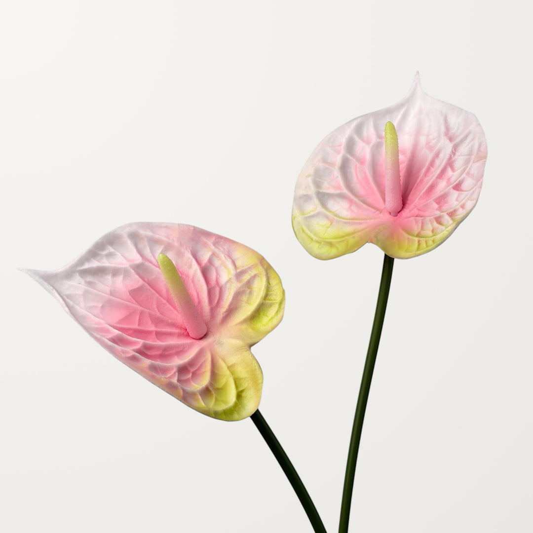 Bloom Anthurium – Petal Pink (Real Touch) - view 2