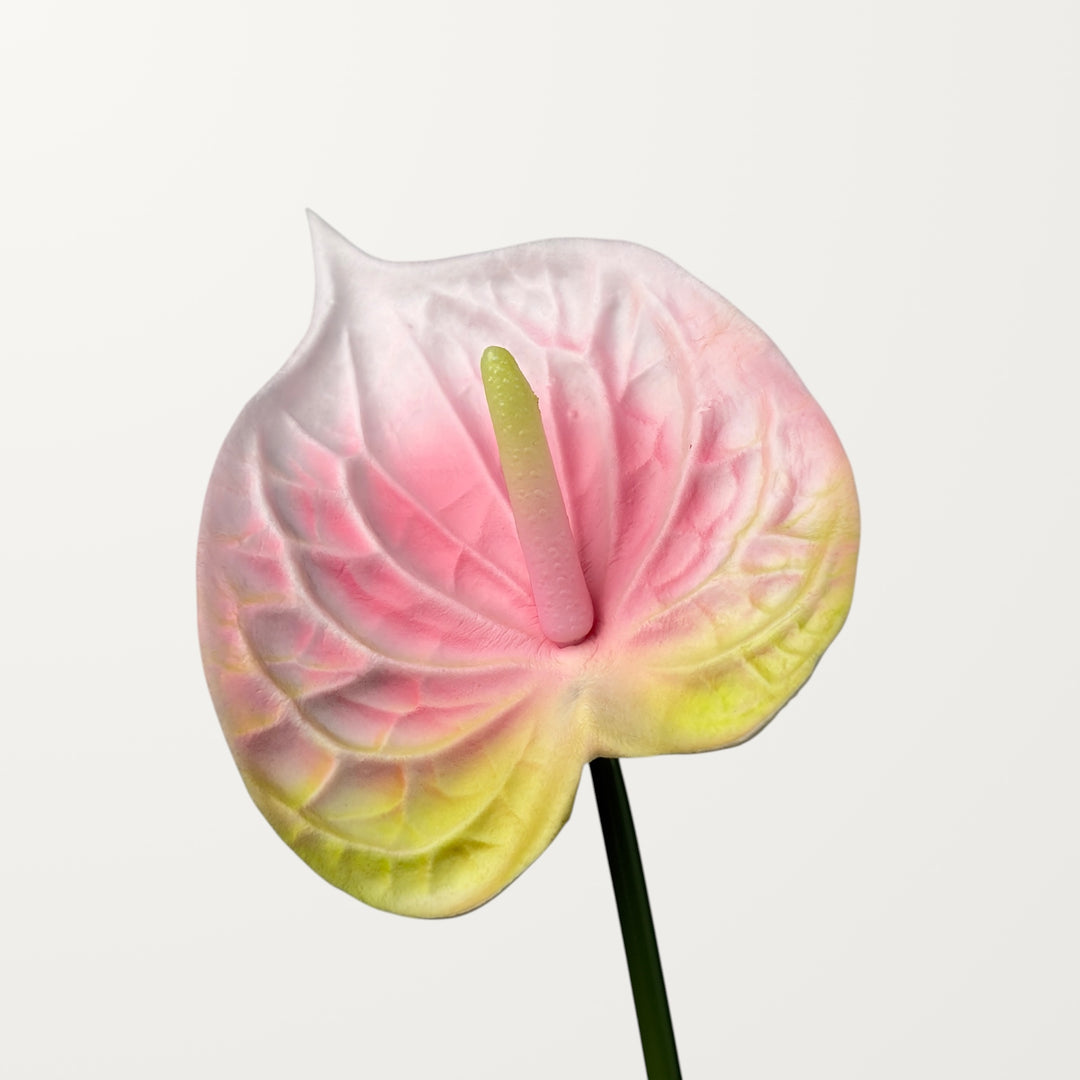 Bloom Anthurium – Petal Pink (Real Touch)