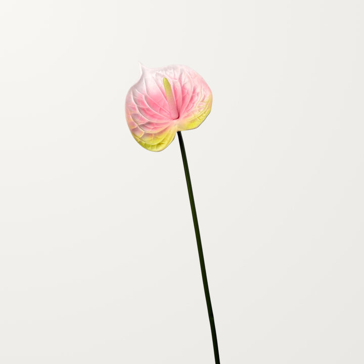 Bloom Anthurium – Petal Pink (Real Touch) - view 3