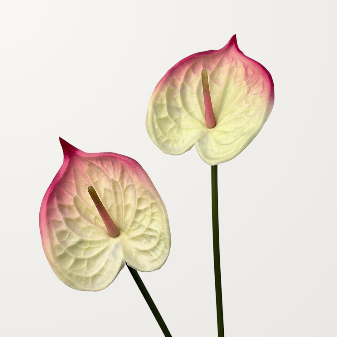 Bloom Anthurium – White Pink (Real Touch) - view 2